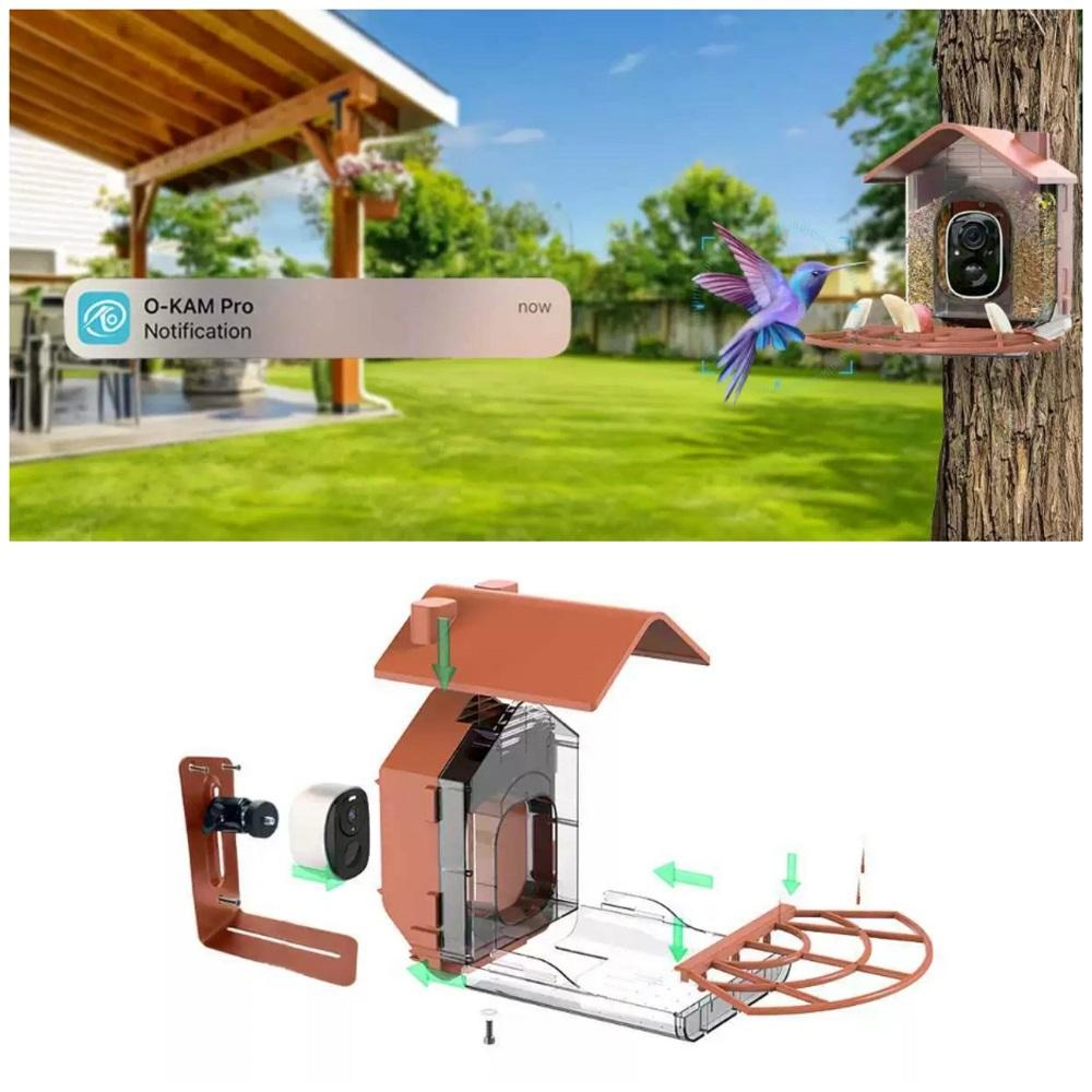 Solar Powered Bird Feeder With 3MP Smart Camera Cloud Storage Weatherproof for Outdoors