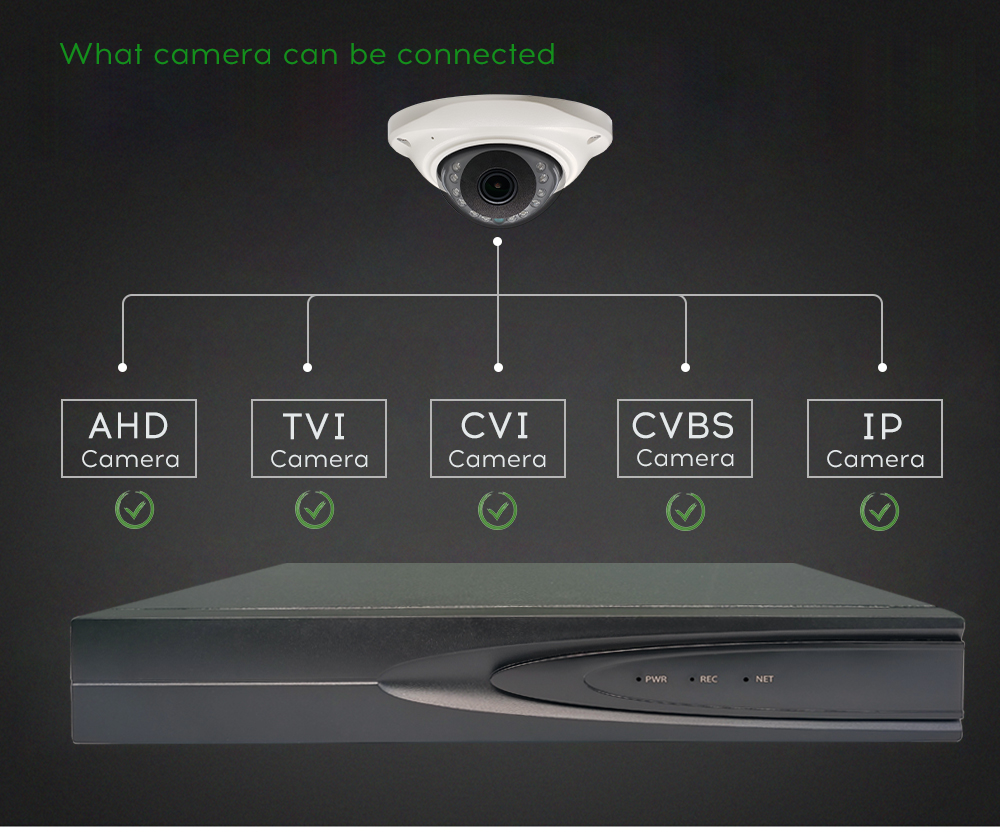 ip camera recorder application