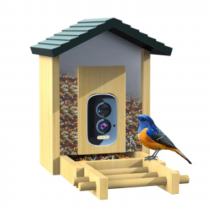 Wood-Cased Bird Feeder with 5MP WiFi Camera