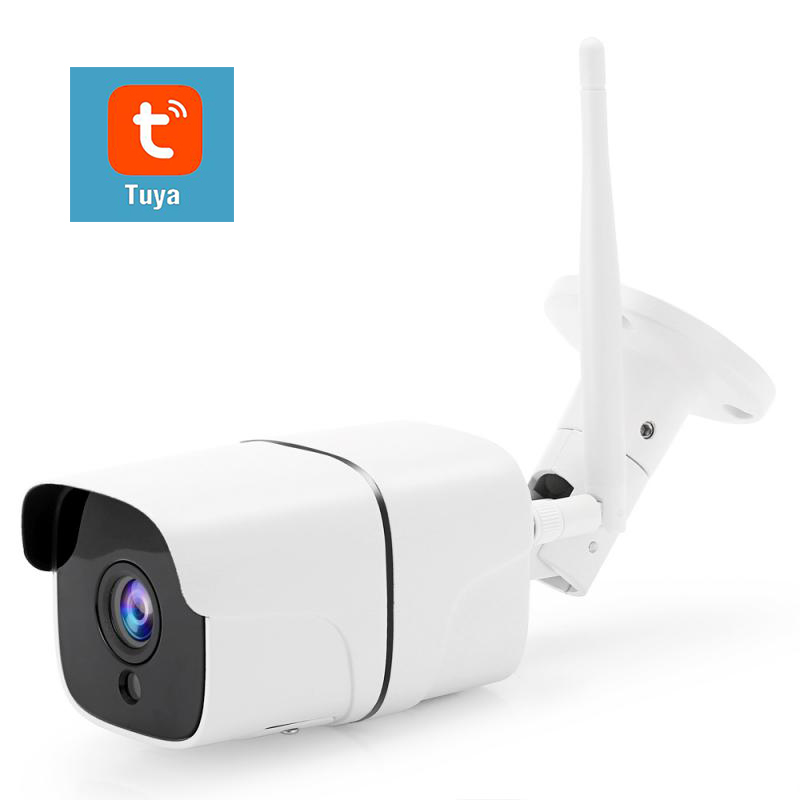1080P 3.6mm Fixed lens 2MP IR Night Vision Turret Dome IP Camera Built in Microphone & POE Optional