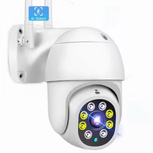 Sunisee IP Network Smart Wifi Outdoor Security PTZ Camera